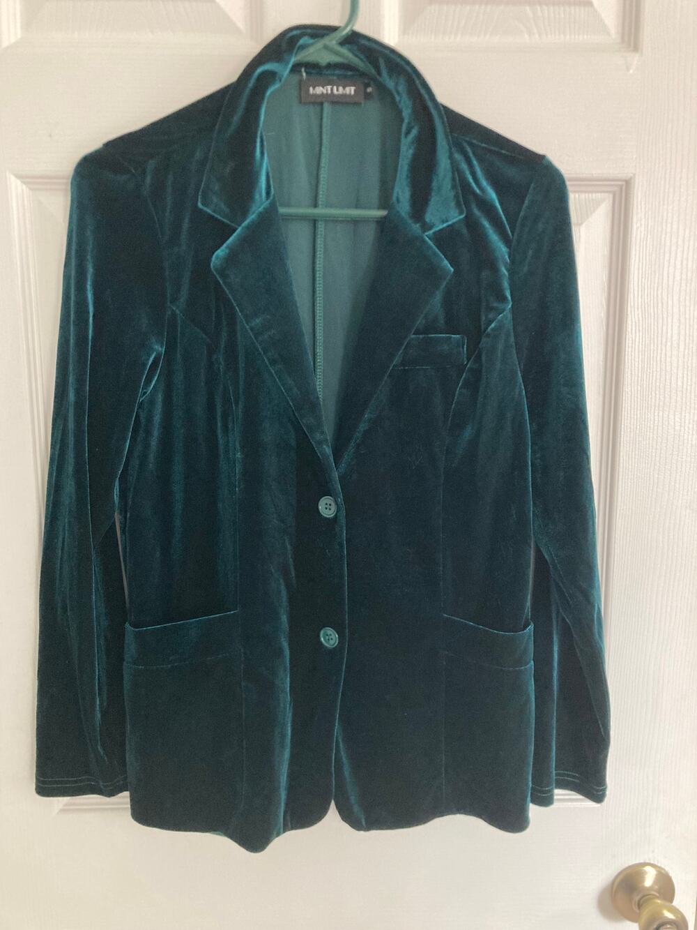 Mint Limit - Dark Academia/Classic/Preppy Hunter Green Soft Velvet Blazer - S